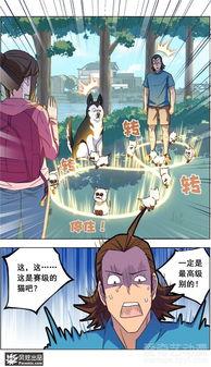 国产宠物漫画解说视频,萌宠世界，欢乐无限