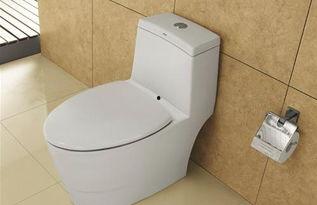 简易国产马桶视频