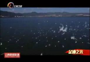 国产足迹视频,探寻中国制造的力量与魅力