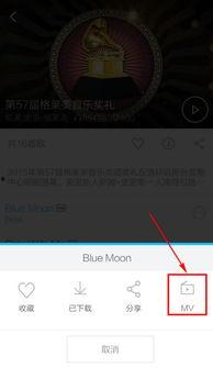 国产mv手机观看视频,光影交织，畅享视听盛宴