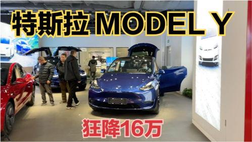 国产model y到店视频